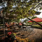 Biergarten Bio-Seehotel Zeulenroda