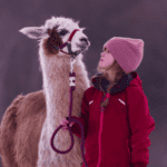 Newsletter Headerbild(12)