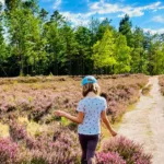 Online-Magazin-Kategoriebilder